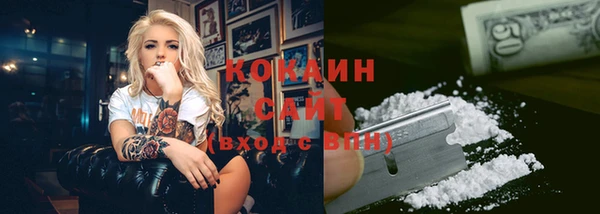 прущая мука Богородицк
