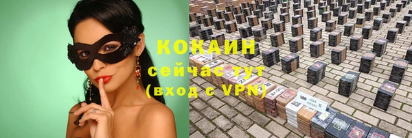 гашик Нефтекумск
