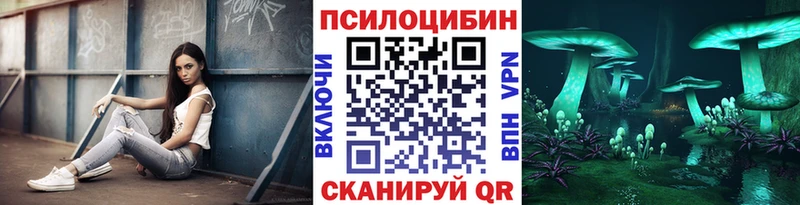где купить наркотик  Котельниково  мега как войти  Псилоцибиновые грибы прущие грибы 